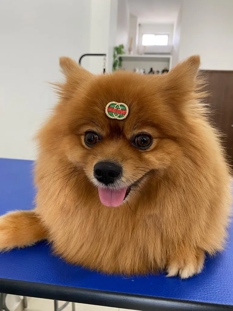 Zoe